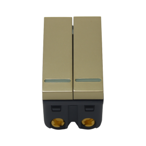 Công tắc đôi 1 chiều màu vàng ánh kim