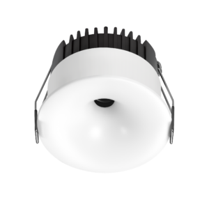 Đèn âm trần chiếu điểm 12w C